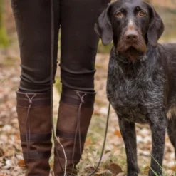 Dubarry Bottes Galway GTX Couleur Marron. -Le Chameau Soldes Magasin 00007 Bottes Galway GTX Couleur Brun Taille 44